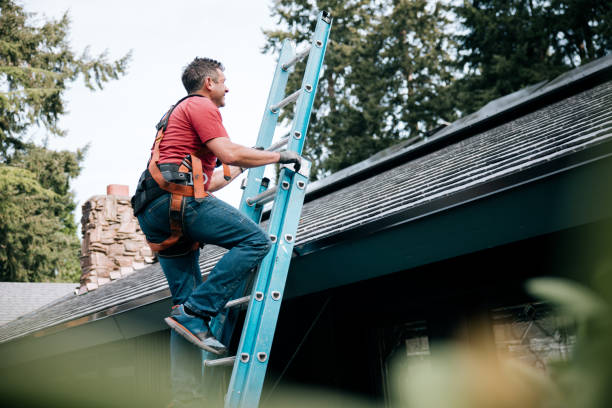 Best Gutter Installation and Repair  in Ladysmith, WI