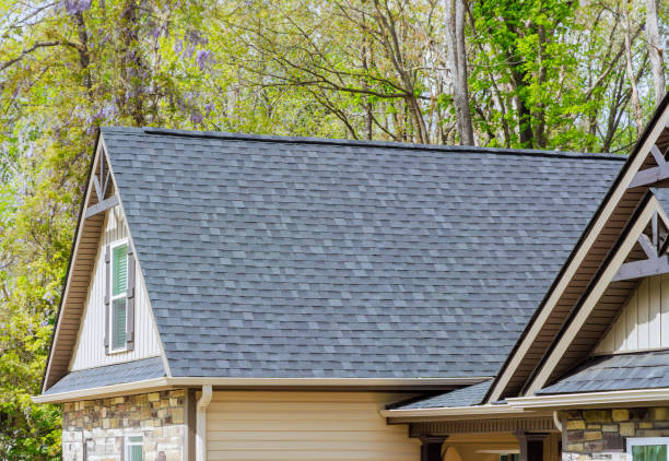 Best Roof Insulation Installation  in Ladysmith, WI