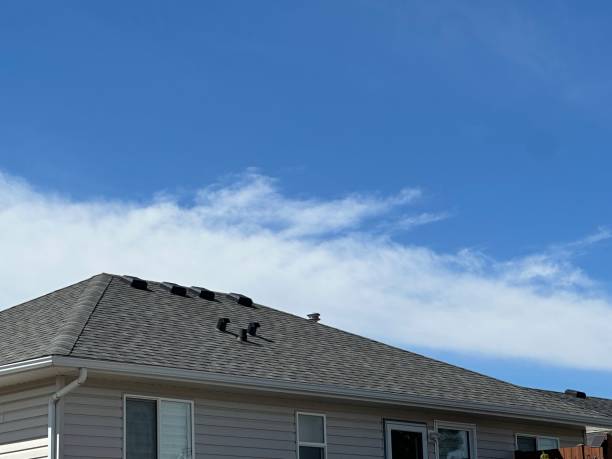 Fast & Reliable Emergency Roof Repairs in Ladysmith, WI